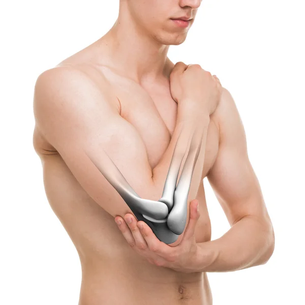 Articulación del codo aislada en blanco - Anatomía Hombre —  Fotos de Stock