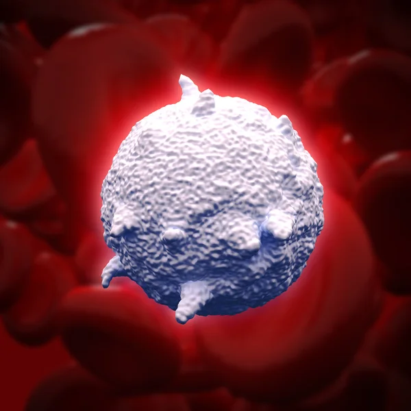 白血球細胞 — ストック写真