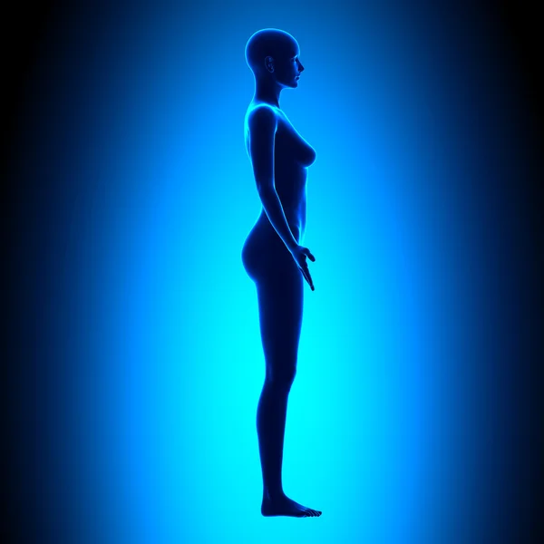 Full Female Body - Side View - Blue concept — Stock Photo, Image