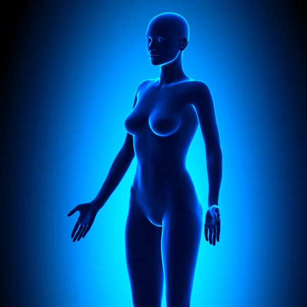 Full Female Body - Vista isometrica - Concetto blu — Foto Stock