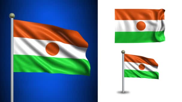 Bandiera Niger - con canale Alpha, loop senza soluzione di continuità ! — Video Stock