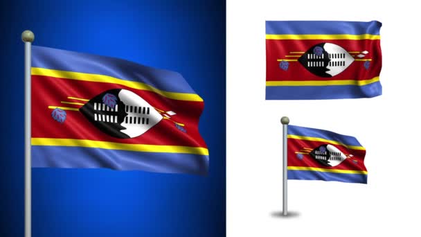 Vlag van Swaziland - met alfakanaal, naadloze loops! — Stockvideo