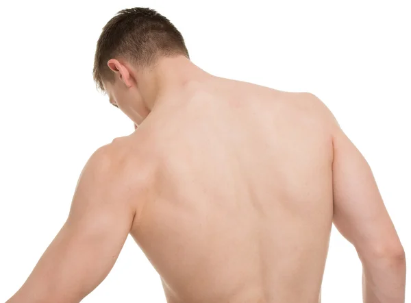 Masculino espalda cuerpo fitness anatomía concepto — Foto de Stock