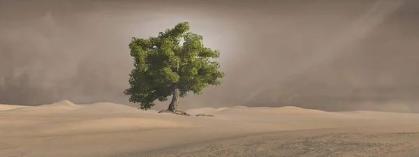 Paisaje Del Desierto Con Árbol Verde —  Fotos de Stock