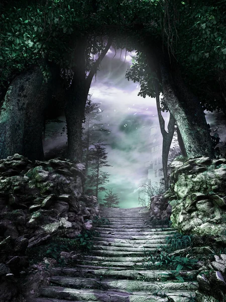 Forest Scenery Stone Stairs Rocks Castle — Stock Photo, Image