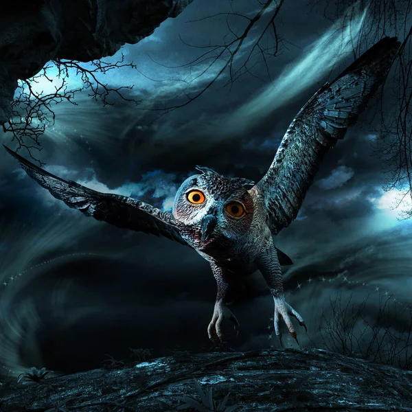 Night Scene Flying Owl — Stock Photo, Image