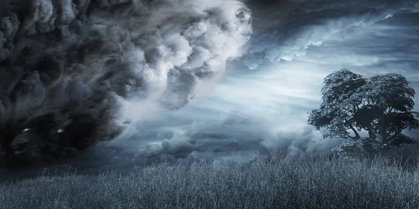 Landschaft Mit Stürmischen Wolken Gras Und Baum — Stockfoto