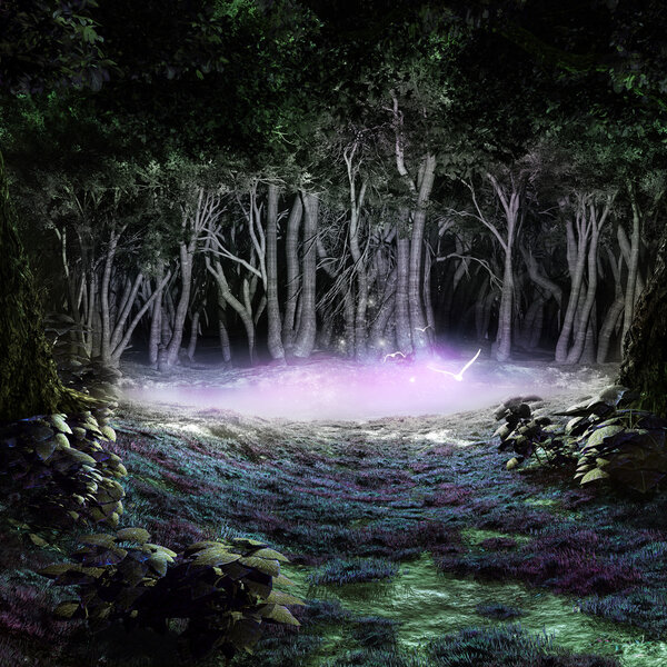 Night scene with magic pond in a middle of the forest.