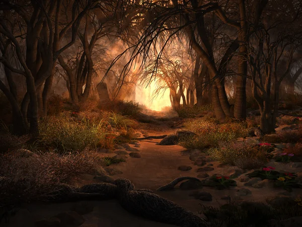 Passage through gloomy forest