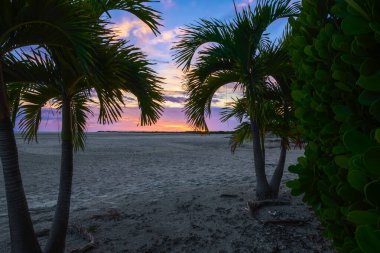 Fort Myers plajı gün batımında. Estero Adası. Fort Myers Sahili. Florida mı? ABD