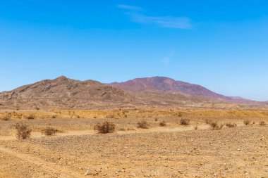 Colorado Çölü manzarası. Anza-Borrego Çöl Parkı. Kaliforniya mı? ABD