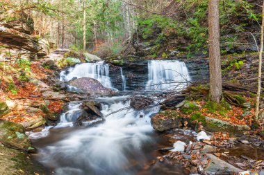 Cayuga Şelalesi Ricketts Glen Eyalet Parkı 'ndaki Falls Trail' in Ganoga Glen bölümünde yer alıyor. Pensilvanya ABD