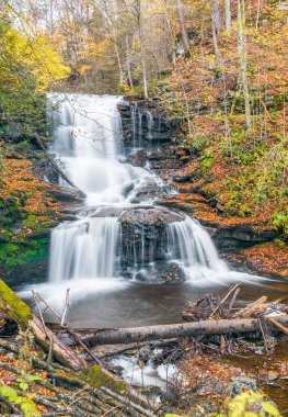 Tuscarora Şelalesi Ricketts Glen Eyalet Parkı 'ndaki Falls Trail' in Ganoga Glen bölümünde yer alıyor. Pensilvanya ABD