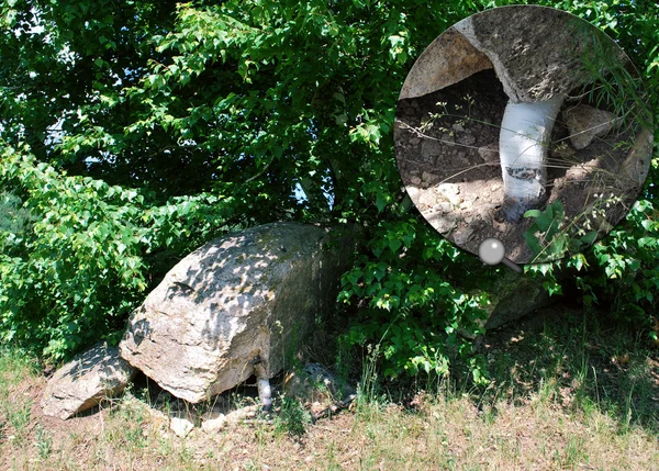 Meer hoop een boom op een leven — Stockfoto