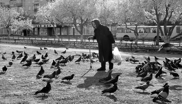 Senior woman and pigeons — Stock Photo, Image