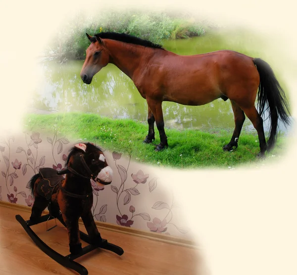 Häst och leksak häst — Stockfoto