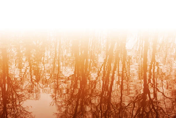 Sonbahar ağaçlar su sıradışı yansıması — Stok fotoğraf
