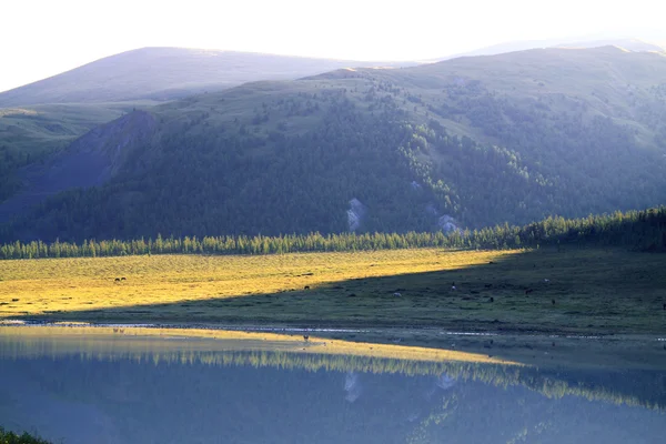 Evening in mountains — Stock Photo, Image