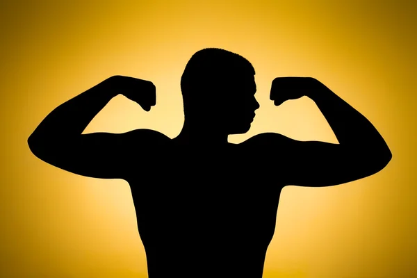 gövde, yüz profili silüeti