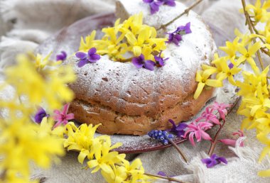 Bahar tatili pastası Bahar ayları çiçekleri ile süslenmiştir: forsythia, sümbül ve menekşe, yakın plan, fotokopi alanı, yumurtasız vejetaryen pişirme ve paskalya bayramı tatlı konsepti