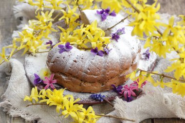 Bahar tatili pastası Bahar ayları çiçekleri ile süslenmiştir: forsythia, sümbül ve menekşe, yakın plan, fotokopi alanı, yumurtasız vejetaryen pişirme ve paskalya bayramı tatlı konsepti
