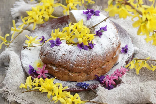 Bahar tatili pastası Bahar ayları çiçekleri ile süslenmiştir: forsythia, sümbül ve menekşe, yakın plan, fotokopi alanı, yumurtasız vejetaryen pişirme ve paskalya bayramı tatlı konsepti