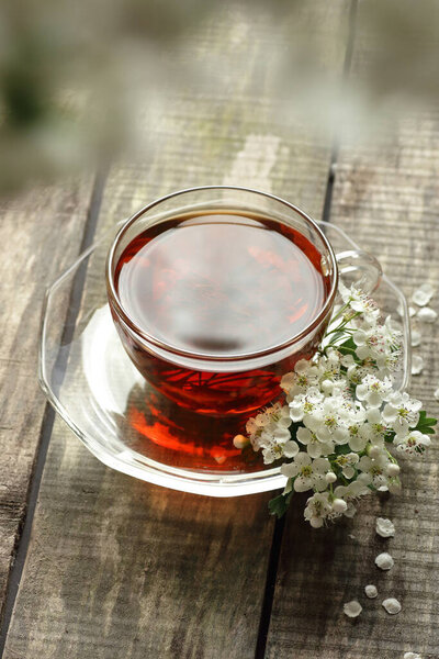 Hawthorn spring floral tea with spring blooming branches with flower buds on wooden background, closeup, copy space, vertical, herbal teas and natural medicine concept