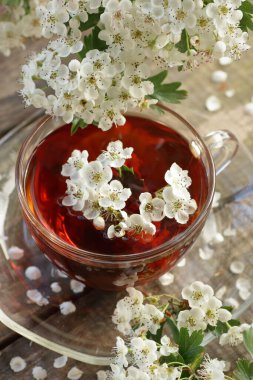 Ağaç zemin üzerinde çiçek tomurcukları olan bahar çiçekli Hawthorn bahar çayı, yakın plan, kopyalama alanı, dikey, bitkisel çaylar ve doğal tıp konsepti