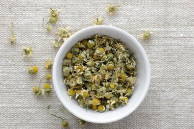 Papatya çayı, keten tekstil üzerinde beyaz bir kasede, yakınlarda çiçekler ve tomurcuklar, yakın plan, fotokopi alanı, düz alan, yukarıdan bakıldığında, sağlıklı bitkisel çaylar ve doğal şifacı konsepti.
