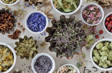 Kurutulmuş bitkilerin çeşitli çeşitleri: çiçek, kök ve tohum, masanın üzerinde düz, lavanta, papatya, ıhlamur, gül, mısır çiçeği, kekik, ve diğer yukarıdan bakıldığında doğal ve ilaç konsepti,