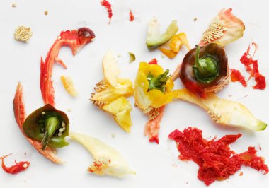 Gıda atığı kavramı soyut bir sanat tarzında: beyaz arka planda izole edilmiş organik gıda atıklarından düz bir bileşim, çevreye duyarlı davranış konsepti. Boşluğu kopyala