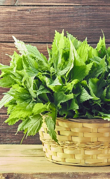 Nettle Wicker Fresh Plant Wood Table Rustic Background Urtica Dioica — Stok Foto