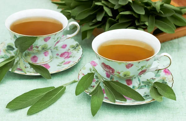 Sage herbal tea in porcelain cups with herb leaves all around on linen textile with a tray full of cut plant in the background, closeup, copy space, herbal  healing aromatic drinks concept