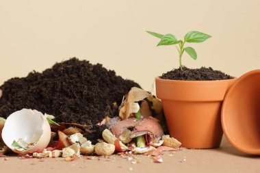 Organik atık, üzerinde çürümüş organik madde olan organik gübre yığını ve terakota saksısında filizlenme, yakın çekim, sıfır atık, çevre dostu, atık geri dönüşümü kavramı