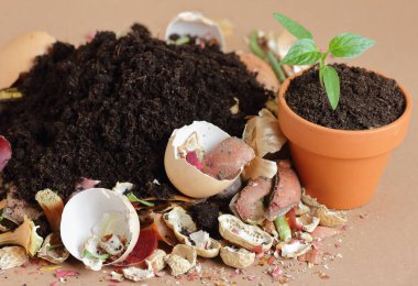 Organik atık, üzerinde çürümüş organik madde olan organik gübre yığını ve terakota saksısında filizlenme, yakın çekim, sıfır atık, çevre dostu, atık geri dönüşümü kavramı