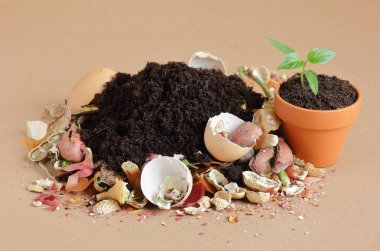 Organik atık, üzerinde çürümüş organik madde olan organik gübre yığını ve terakota saksısında filizlenme, yakın çekim, sıfır atık, çevre dostu, atık geri dönüşümü kavramı