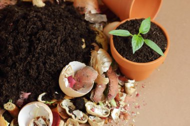 Organik atık, üzerinde çürümüş organik madde olan organik gübre yığını ve terakota saksısında filizlenme, yakın çekim, sıfır atık, çevre dostu, atık geri dönüşümü kavramı