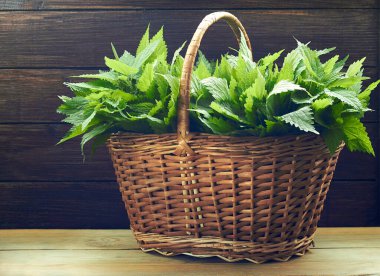 Köy arka planındaki ahşap masa üzerindeki ısırgan otu kökü, Urtica dioica bir polivitaminli diyet yiyeceği ve kozmetik malzeme, yakın plan, boş alanı kopyalama, şifalı bitki konsepti