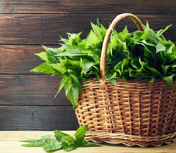 Osier Ortie Plante Fraîche Sur Table Bois Sur Fond Rustique — Photo