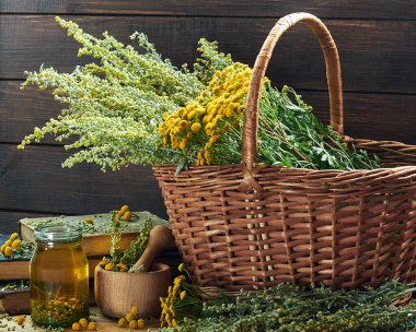 Herbal helminthic triad: absinth, tansy and cloves; fresh herbs in the wicker basket and wooden mortar, on old books,  healing infusion is nearby, closeup, copy space, antihelminthic medicine concept clipart