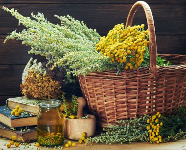Taze ve kurumuş wiild otlar: Absinth pelin otu, tansy, kurutulmuş St. John otları, tırtıl ve mifolyo, ahşap kırsal masada çeşitli, yakın plan, kopyalama alanı, alternatif tıp ve naturopati ide.