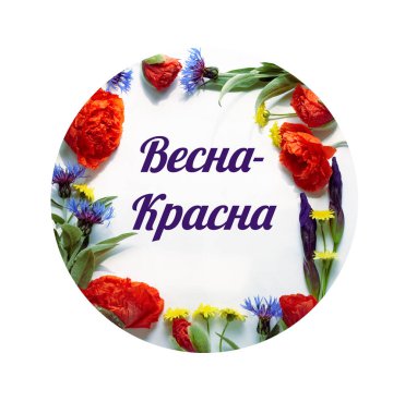 Haşhaş çiçeklerinden, çiçek çiçeklerinden, irislerden ve yeşil yapraklı yabani çiçeklerden bahar çiçekleri. Merhaba bahar yazısı. Çiçekli çerçevenin içinde, düz yerde, üst manzara, beyaz üzerinde izole edilmiş.