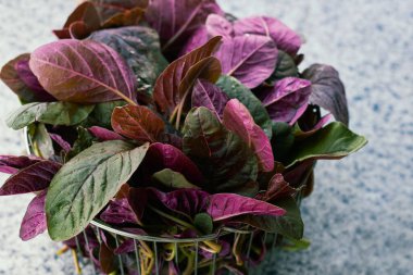 Kırmızı ıspanak yaprakları çelik kevgirde, amaranth bitki yaprakları mutfak arka planında, kopyalama alanında, yakın mesafede, organik gıda ve vejetaryen yeme konseptinde.