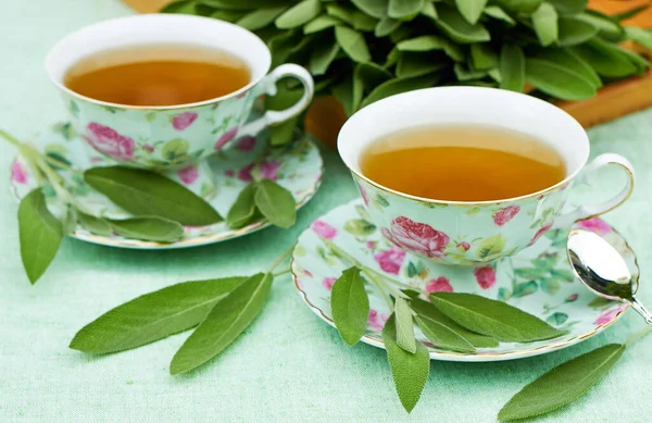 Herbal tea from sage served in teacups with sacers and silver spoon with fresh leaves all around and on the background on tray, copy space