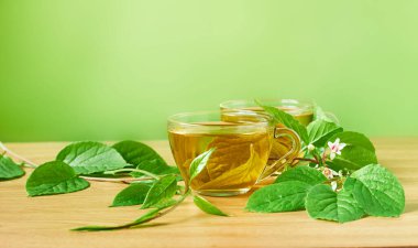 Shisadra çingenesinden ya da taze yapraklı manolya sarmaşığı bitkisinden bozulmamış iki bardak tonik çay, açık yeşil arka plandaki ahşap masa üzerinde taze yapraklar, dallar ve çiçekler.