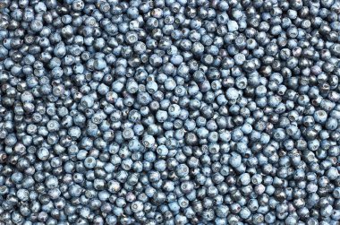 Yaban mersini desenli arkaplan dokusu, tasarımınız için bir arkaplan, düz yatay, tepeden görünüm