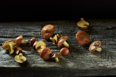 Boletus mantarları eski kırsal ahşap masaya döküldü, arka ışıklandırma, yakın çekim, kopyalama alanı, mantar mantarı ya da doğal sağlıklı gıda konsepti