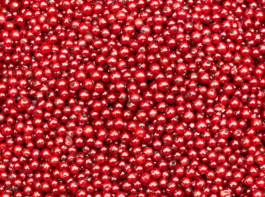 Kırmızı currand üzümü desenli arka plan, parlak kırmızı arkaplan tasarımınız için doğal arkaplan, yakın plan, düz yatış, yukarıdan yukarıdan yukarıdan yukarıdan yukarıdan görünüm