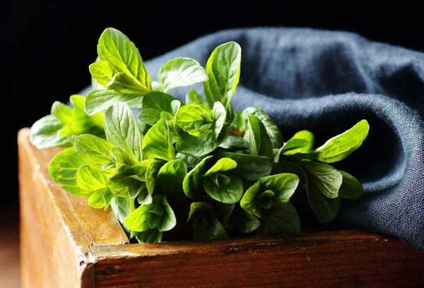 Herbal Mint Segar Dan Tekstil Linen Pada Latar Belakang Moody — Stok Foto