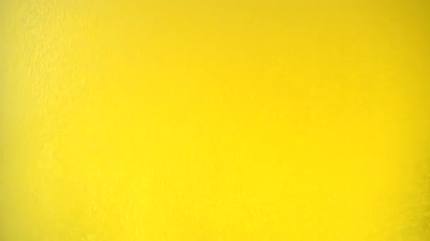 La bière est versée dans un verre avec des bulles de gaz 